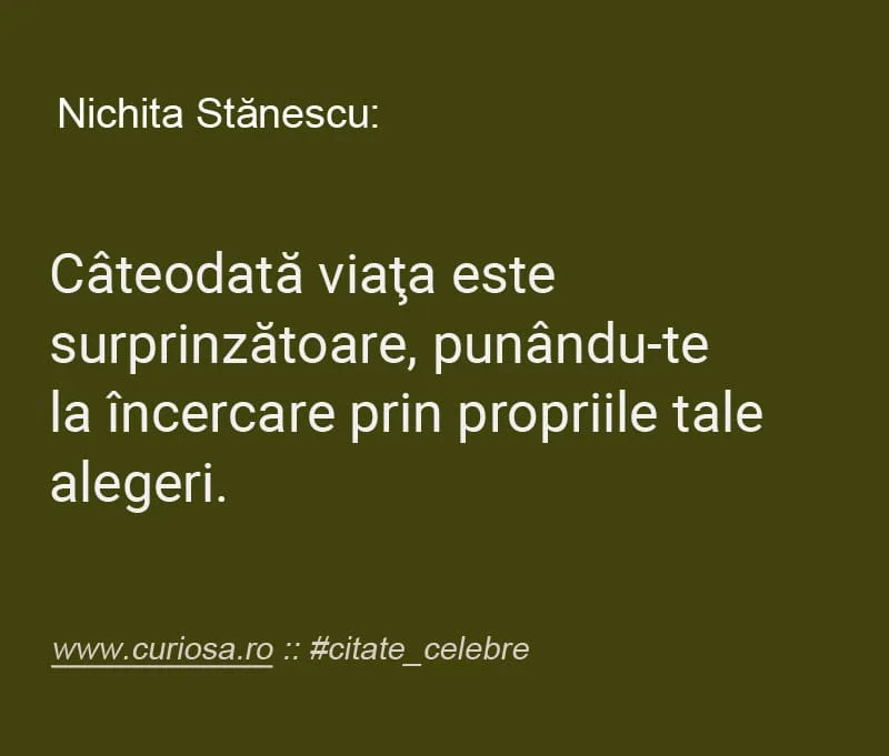 citate despre viata nichita stanescu 