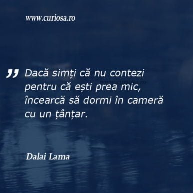 Dalai Lama citate intelepte despre viata