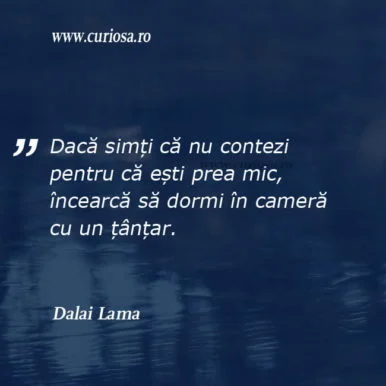 Dalai Lama citat motivational