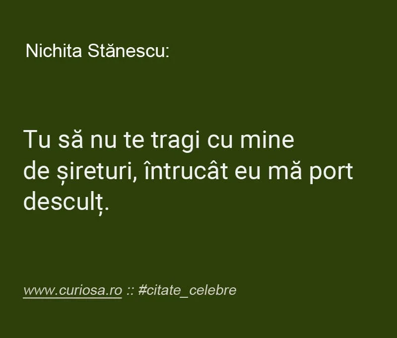 nichita stanescu citat tragi de sireturi descult