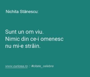 nichita stanescu citate