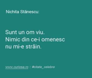 nichita stanescu citate