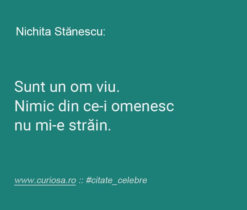 nichita stanescu citate
