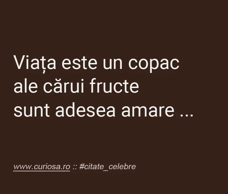 viata-copac-fructe-amare