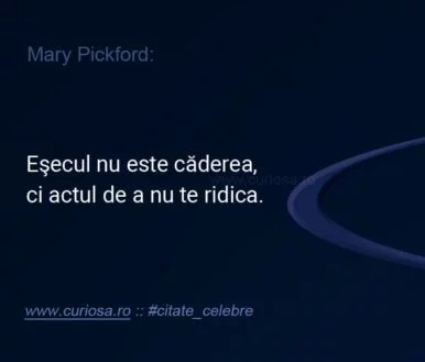citate despre esec 