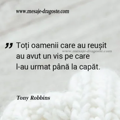 citate despre vise motivationale