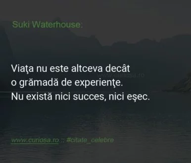 citate esec viata