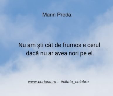 marin preda nori pe cer