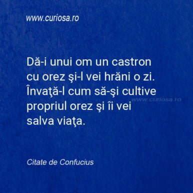citat confucius cum ajuti un om bol cu orez