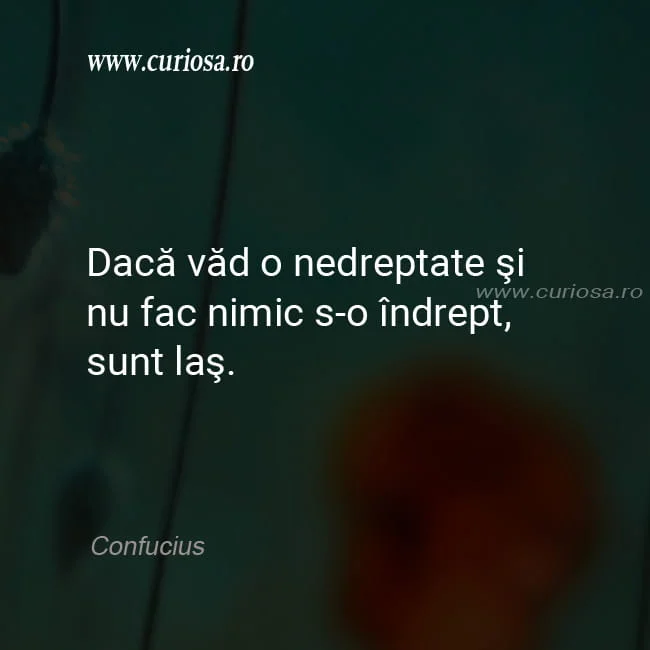 confucius citat daca vad negreptate las