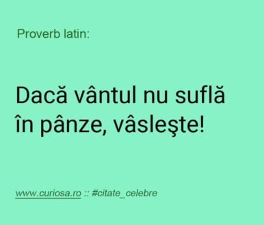 daca vantul nu sufla in panze, vasleste