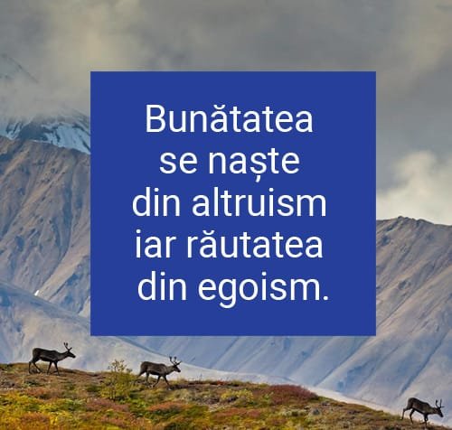 citate egoism egoisti