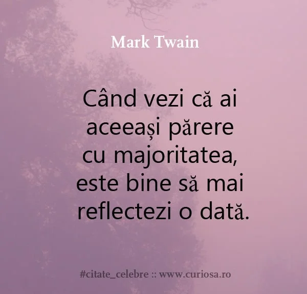 cand ai aceeasi parere cu ceilalti refleteaza