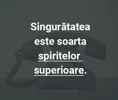 singuratatea este soarta spiritelor superioare