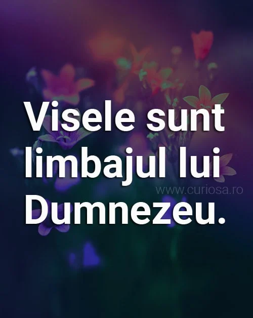 citate despre vise dumnezeu paulo Coelho 