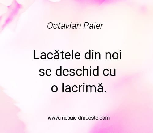 citate octavian paler