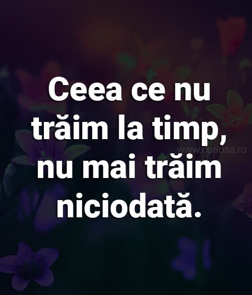 octavian paler ceea ce nu traim la timp