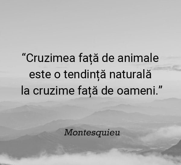 citat cruzimea fata de animale